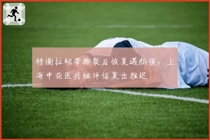特谢拉韧带撕裂后恢复遇瓶颈，上海申花医疗组评估复出推迟