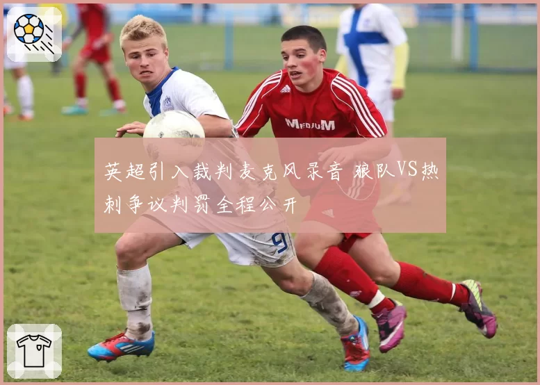 英超引入裁判麦克风录音 狼队VS热刺争议判罚全程公开